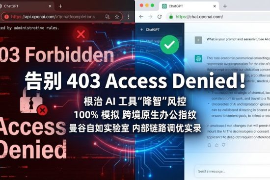 OpenAI 403 Access Denied 报错示例-揭秘低质机场节点风险-巴巴豆网络技术