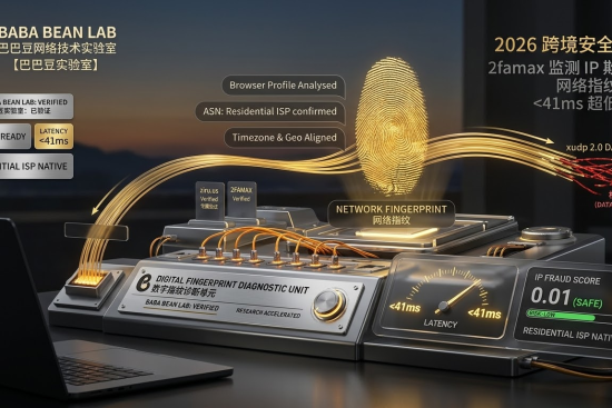 “巴巴豆实验室的网络指纹和 IP 欺诈分诊断站。视觉分析动态网络指纹，显示