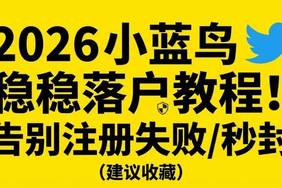 2026年小蓝鸟（Twitter）账号稳稳落户教程：告别注册失败与秒封风险 - 官方标准引流补给