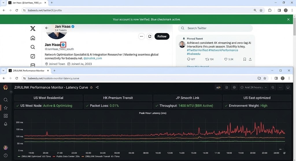 “推特账号已验证”“节点延迟曲线”的截图
