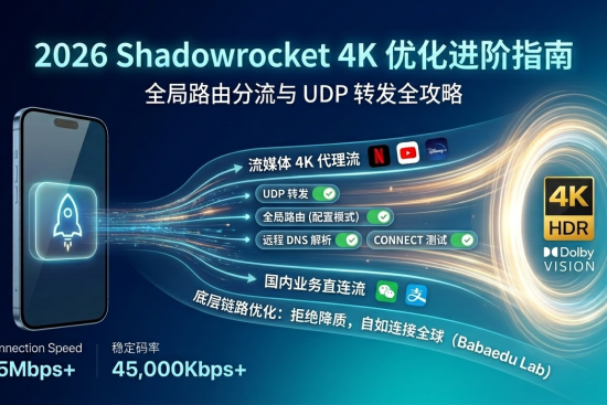 巴巴豆 2026 Shadowrocket 4K 优化进阶：全局路由分流与 UDP 转发全攻略。