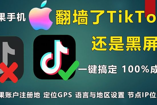 2026年苹果手机 TikTok 黑屏刷不出视频解决方法：从 GPS 定位、账户地区到 IP 环境的全方位“净化”教程