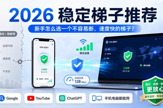 2026年稳定梯子推荐，新手选择速度快不容易断的梯子