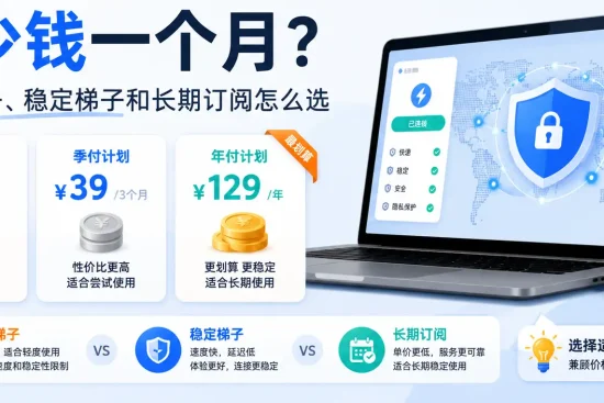 2026 年梯子多少钱一个月，便宜梯子、稳定梯子和长期订阅怎么选的对比建议