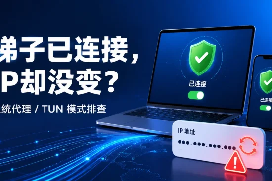 梯子显示已连接但IP地址没有变化的系统代理与TUN模式排查示意图