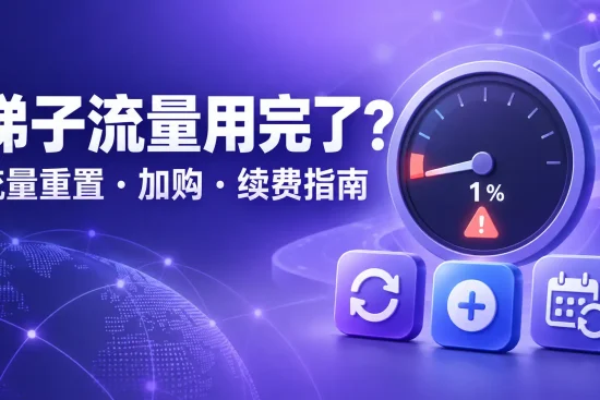 梯子流量用完后的流量重置、加购流量与套餐续费指南