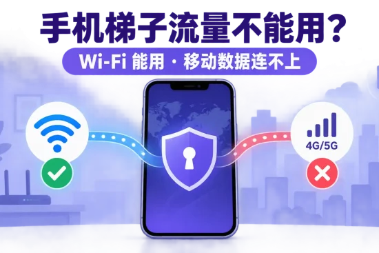 手机梯子在 Wi‑Fi 下可以连接、切换 4G/5G 移动数据后无法连接的故障示意图